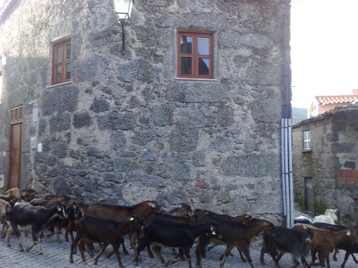 Casa Do Mocho Βίλα Sabugueiro Εξωτερικό φωτογραφία